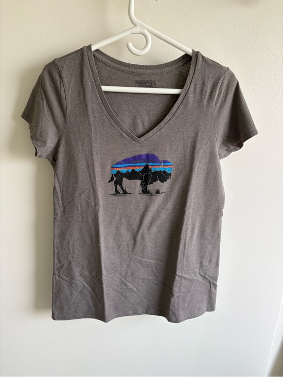 Patagonia Tops - Patagonias Women’s Graphic V-Neck T-shirt